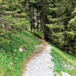 chemin de caillou au Mont Aiguille